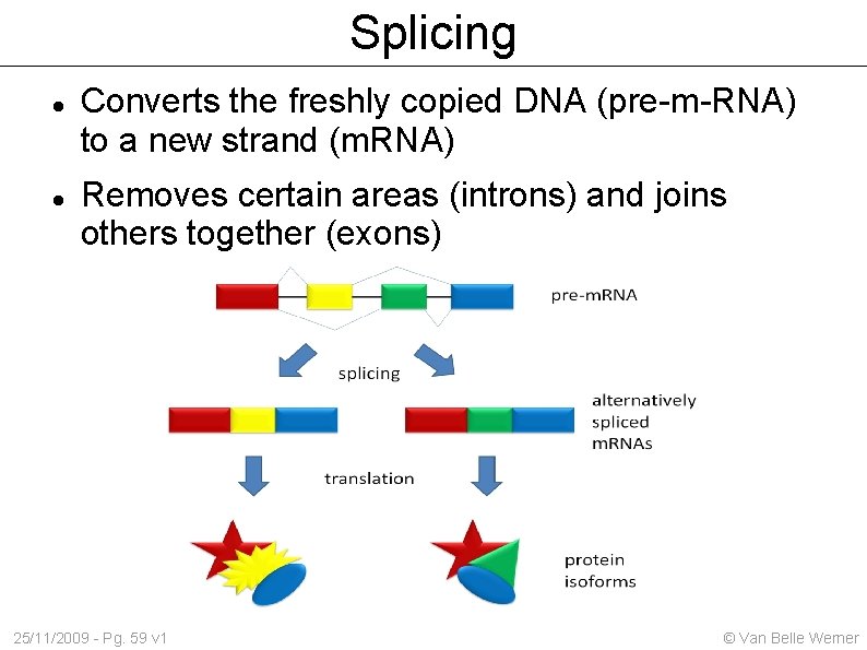 Splicing Converts the freshly copied DNA (pre-m-RNA) to a new strand (m. RNA) Removes