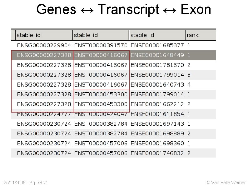 Genes ↔ Transcript ↔ Exon 25/11/2009 - Pg. 78 v 1 © Van Belle