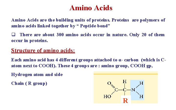 Amino Acids are the building units of proteins. Proteins are polymers of amino acids