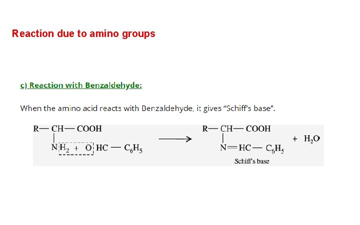 Reaction due to amino groups 