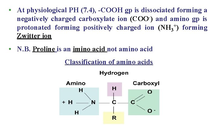  • At physiological PH (7. 4), -COOH gp is dissociated forming a negatively