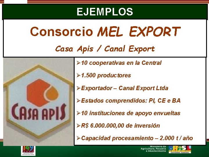 EJEMPLOS Consorcio MEL EXPORT Casa Apis / Canal Export Ø 10 cooperativas en la