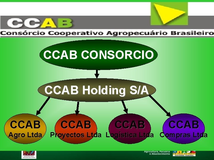 CCAB CONSORCIO CCAB Holding S/A CCAB Agro Ltda CCAB Proyectos Ltda Logística Ltda Compras