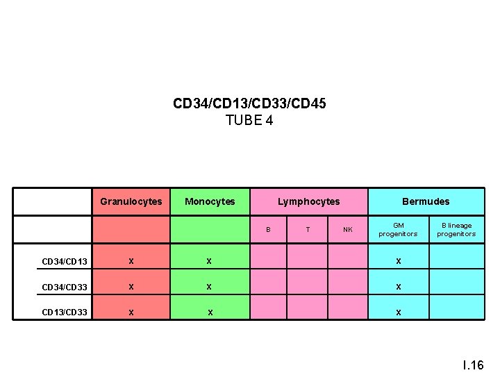 CD 34/CD 13/CD 33/CD 45 TUBE 4 Granulocytes Monocytes B T NK GM progenitors