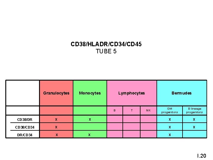 CD 38/HLADR/CD 34/CD 45 TUBE 5 Granulocytes Monocytes B T NK GM progenitors B