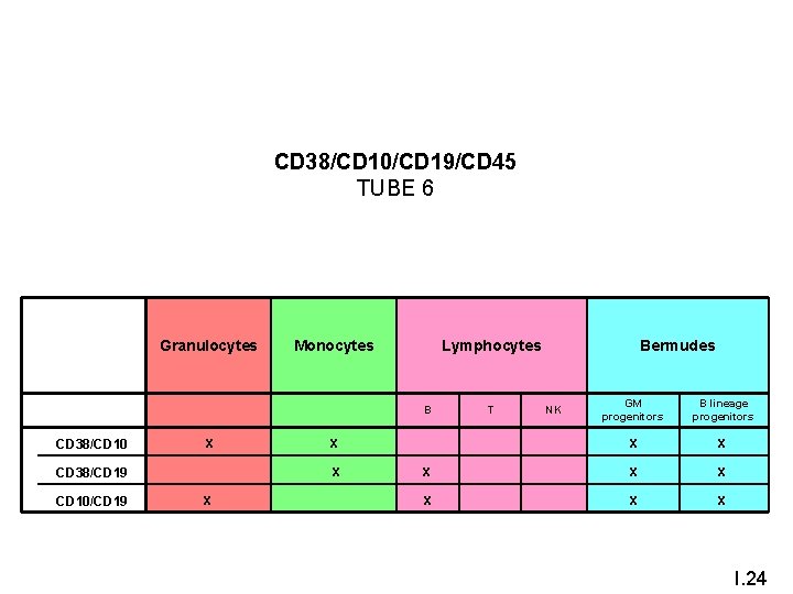 CD 38/CD 10/CD 19/CD 45 TUBE 6 Granulocytes Monocytes B T NK GM progenitors
