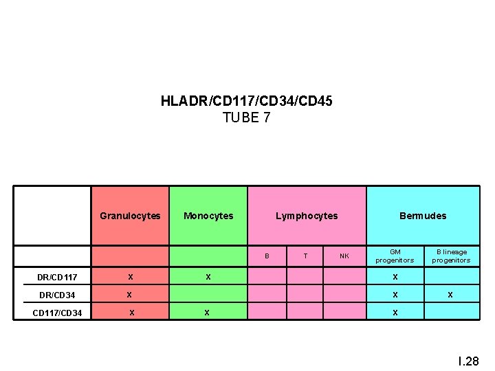 HLADR/CD 117/CD 34/CD 45 TUBE 7 Granulocytes Monocytes B T NK GM progenitors B