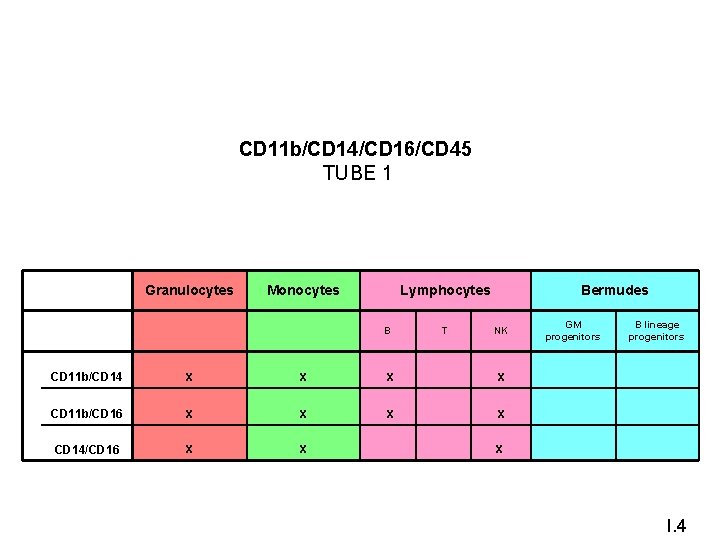 CD 11 b/CD 14/CD 16/CD 45 TUBE 1 Granulocytes Monocytes B T NK CD