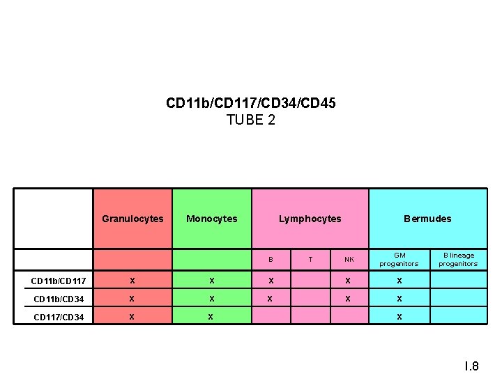CD 11 b/CD 117/CD 34/CD 45 TUBE 2 Granulocytes Monocytes B T NK GM