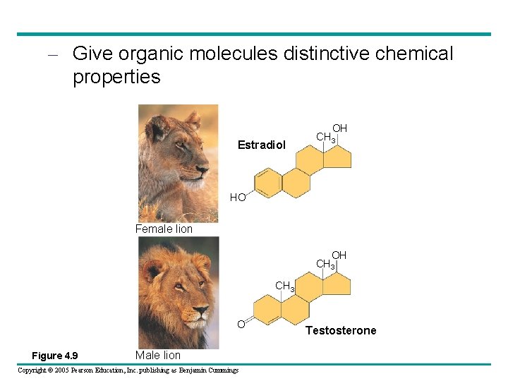 – Give organic molecules distinctive chemical properties Estradiol OH CH 3 HO Female lion