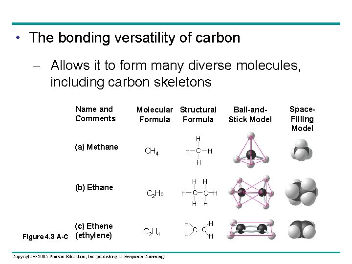  • The bonding versatility of carbon – Allows it to form many diverse