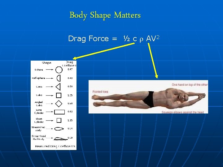 Body Shape Matters Drag Force = ½ c AV 2 