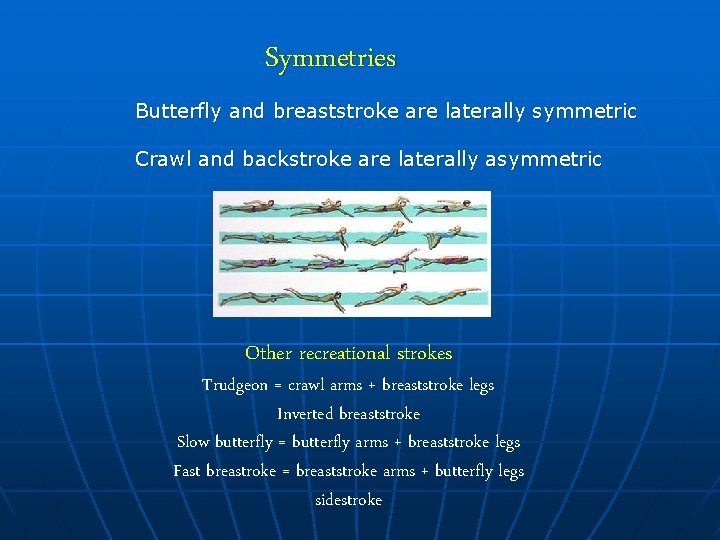 Symmetries Butterfly and breaststroke are laterally symmetric Crawl and backstroke are laterally asymmetric Other