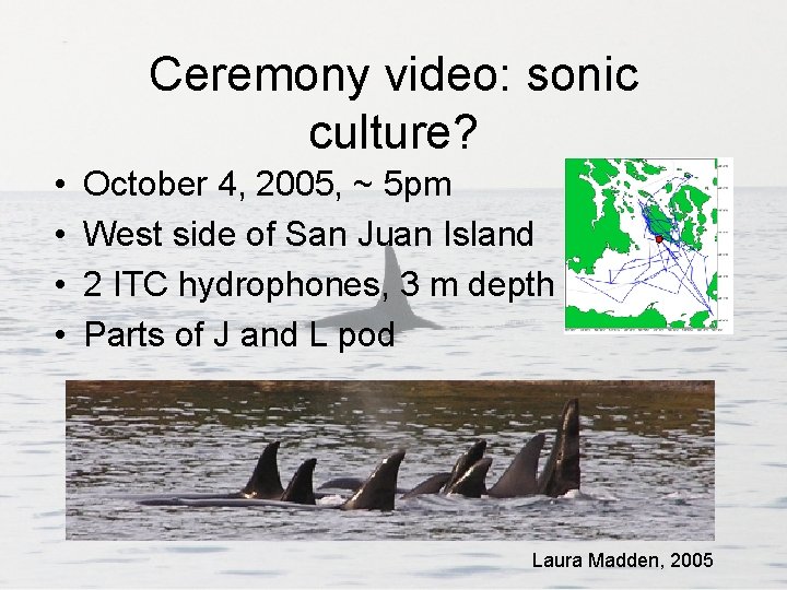 Ceremony video: sonic culture? • • October 4, 2005, ~ 5 pm West side