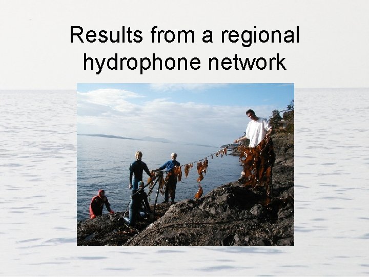 Results from a regional hydrophone network 