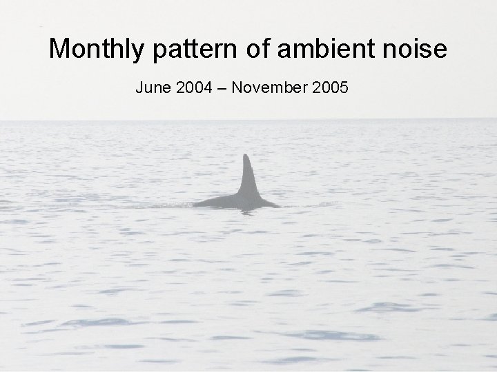 Monthly pattern of ambient noise June 2004 – November 2005 