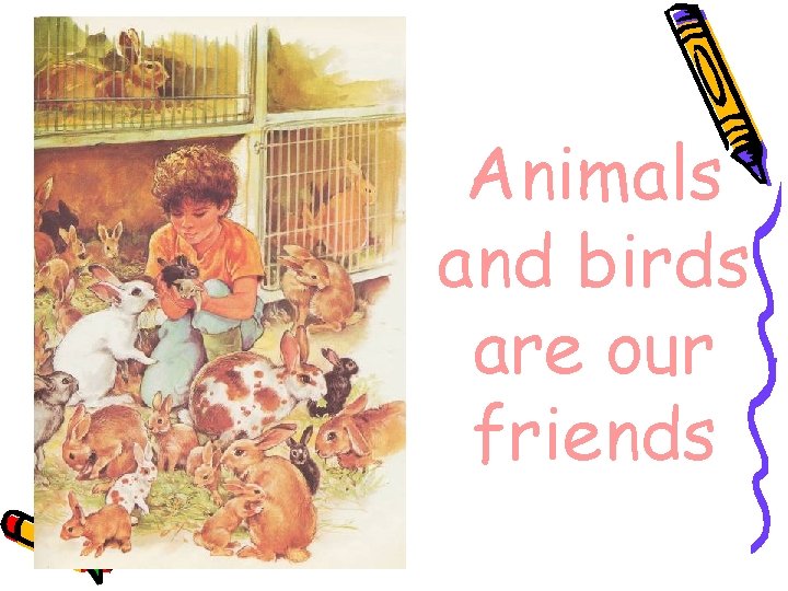 Animals and birds are our friends 