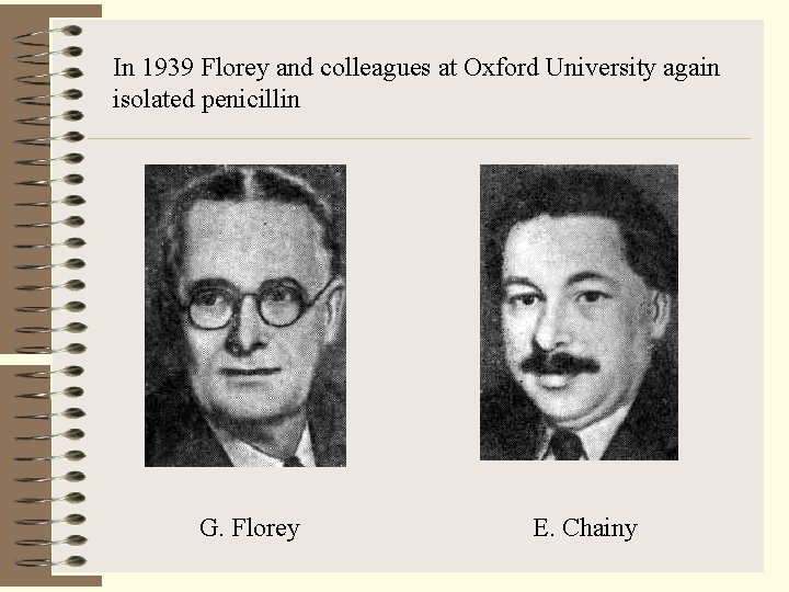 In 1939 Florey and colleagues at Oxford University again isolated penicillin G. Florey E.