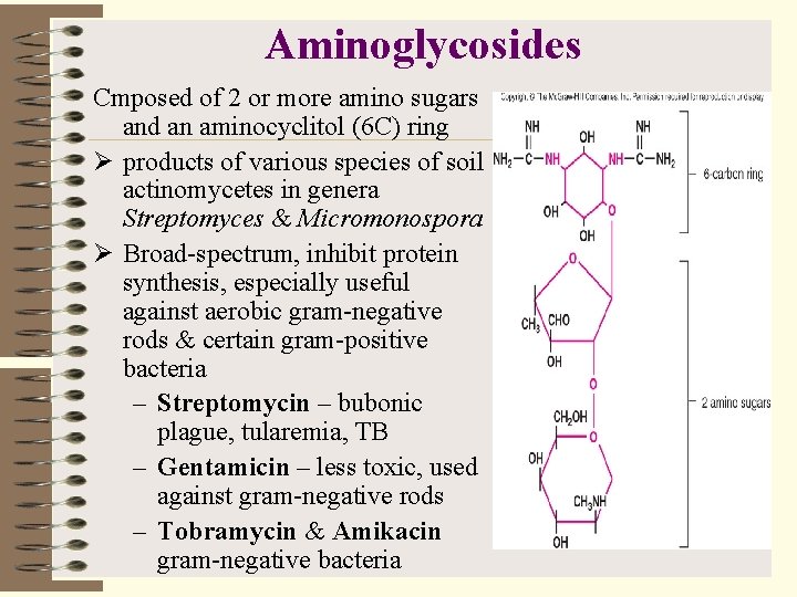Aminoglycosides Cmposed of 2 or more amino sugars and an aminocyclitol (6 C) ring