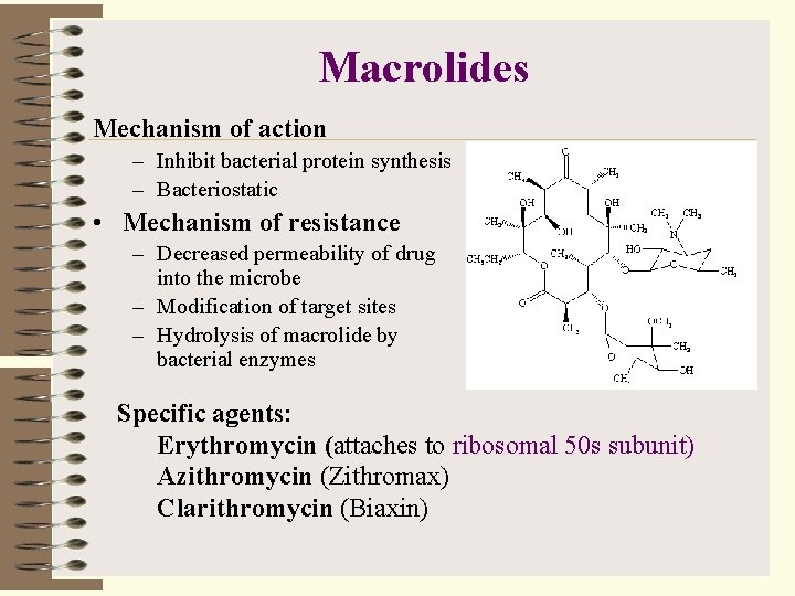 Macrolides Mechanism of action – Inhibit bacterial protein synthesis – Bacteriostatic • Mechanism of