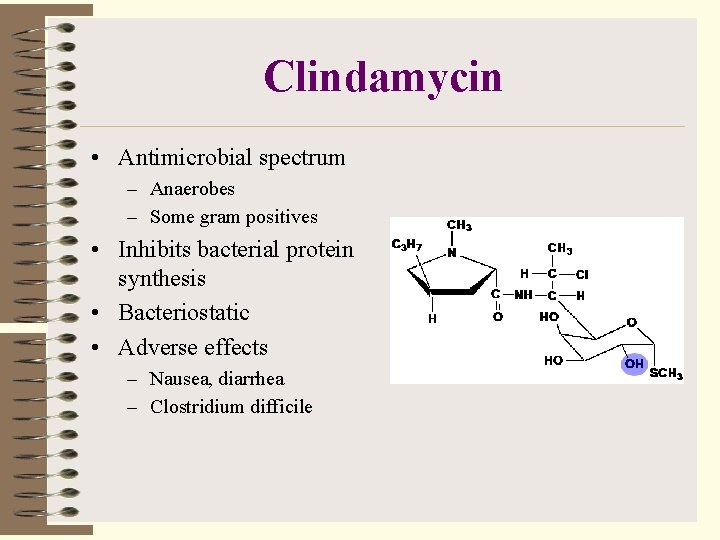 Clindamycin • Antimicrobial spectrum – Anaerobes – Some gram positives • Inhibits bacterial protein