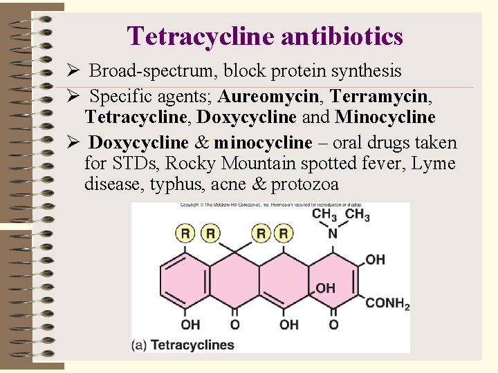 Tetracycline antibiotics Ø Broad-spectrum, block protein synthesis Ø Specific agents; Aureomycin, Terramycin, Tetracycline, Doxycycline