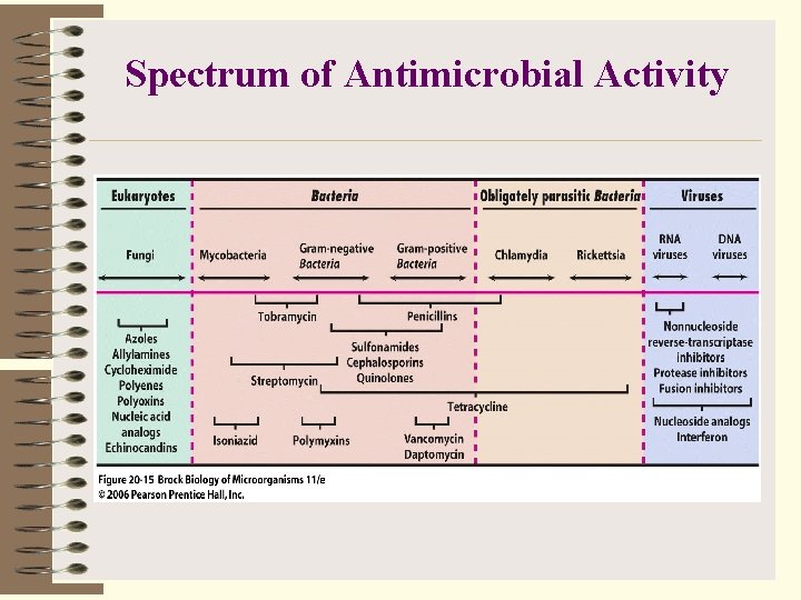 Spectrum of Antimicrobial Activity 