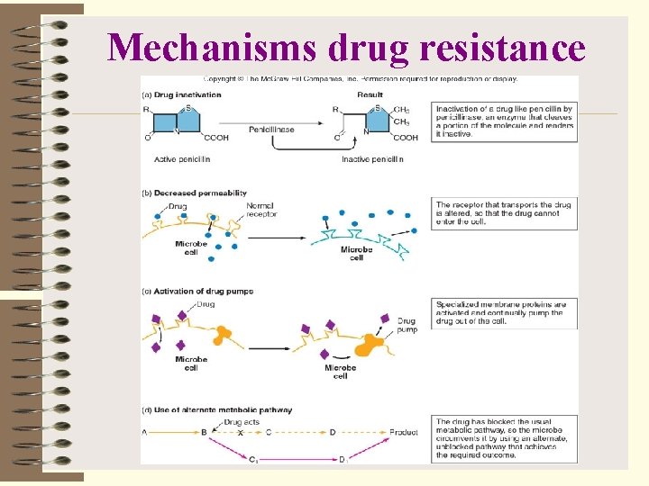 Mechanisms drug resistance 