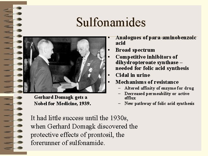 Sulfonamides • Analogues of para-aminobenzoic acid • Broad spectrum • Competitive inhibitors of dihydropteroate