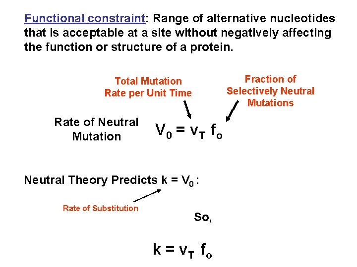 Functional constraint: Range of alternative nucleotides that is acceptable at a site without negatively