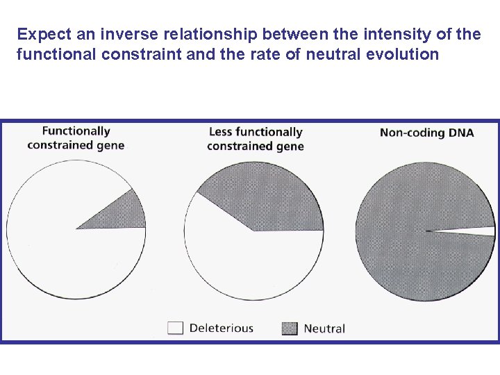 Expect an inverse relationship between the intensity of the functional constraint and the rate