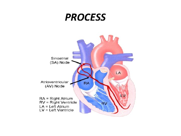 PROCESS 