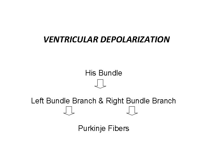 VENTRICULAR DEPOLARIZATION His Bundle Left Bundle Branch & Right Bundle Branch Purkinje Fibers 