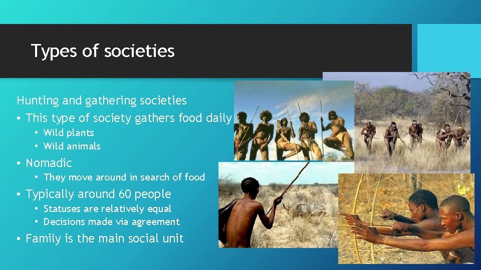 Types of societies Hunting and gathering societies • This type of society gathers food