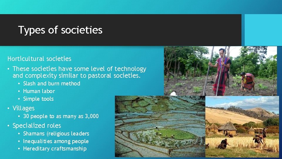 Types of societies Horticultural societies • These societies have some level of technology and