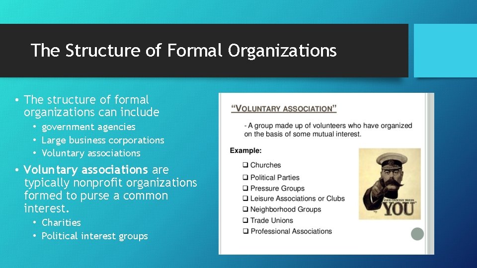 The Structure of Formal Organizations • The structure of formal organizations can include •