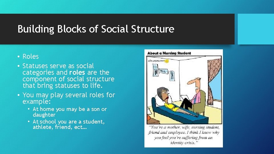 Building Blocks of Social Structure • Roles • Statuses serve as social categories and