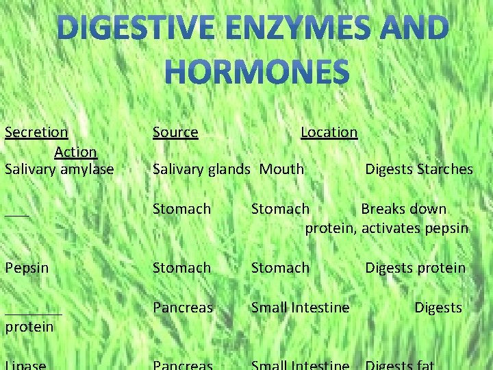 Secretion Action Salivary amylase Source Location ___ Stomach Breaks down protein, activates pepsin Pepsin
