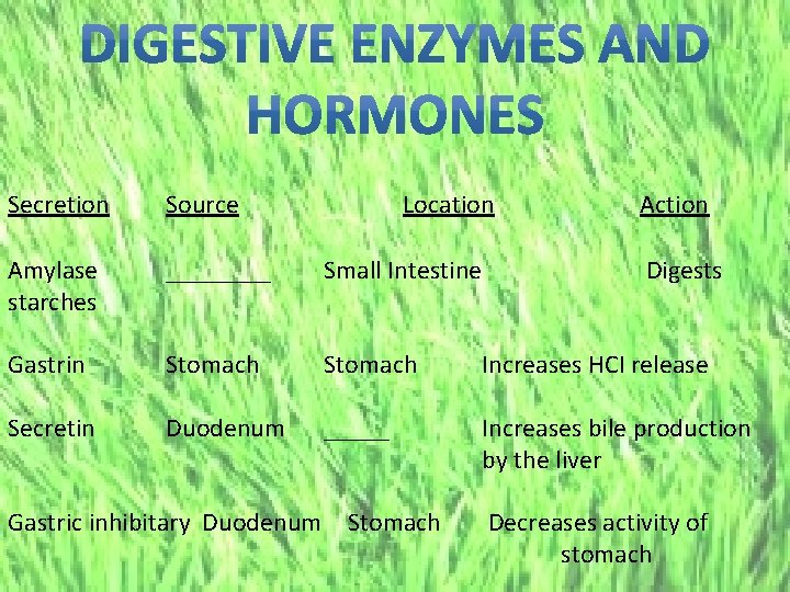 Secretion Source Location Amylase starches ____ Small Intestine Gastrin Stomach Increases HCI release Secretin