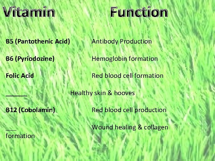 Vitamin Function B 5 (Pantothenic Acid) Antibody Production B 6 (Pyriodozine) Hemoglobin formation Folic