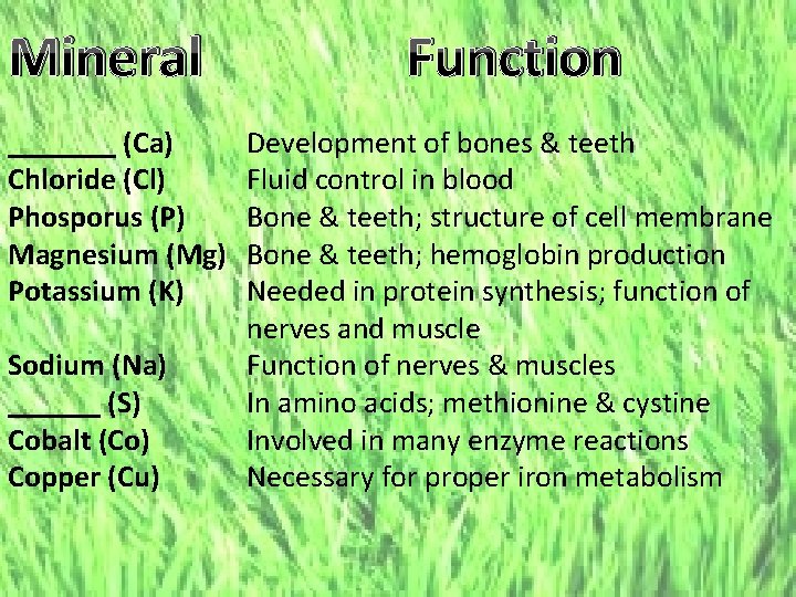 Mineral _______ (Ca) Chloride (Cl) Phosporus (P) Magnesium (Mg) Potassium (K) Sodium (Na) ______