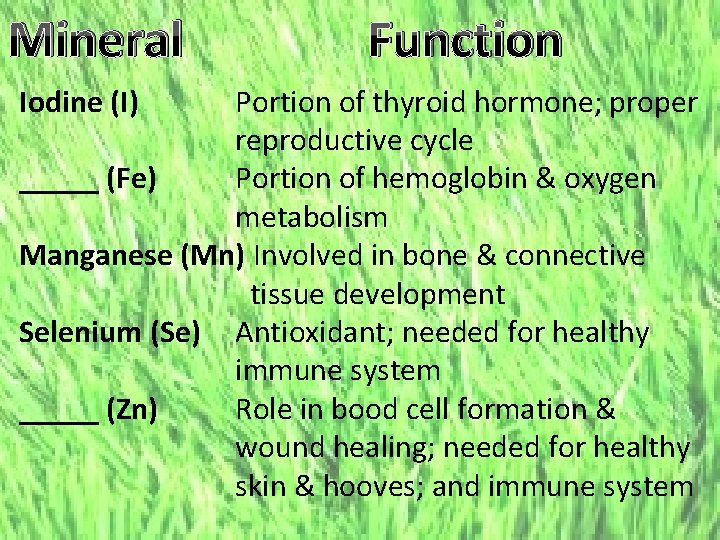 Mineral Iodine (I) Function Portion of thyroid hormone; proper reproductive cycle _____ (Fe) Portion