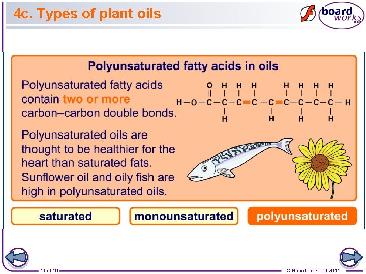 4 c. Types of plant oils 11 of 16 © Boardworks Ltd 2011 