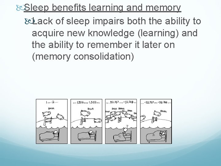  Sleep benefits learning and memory Lack of sleep impairs both the ability to