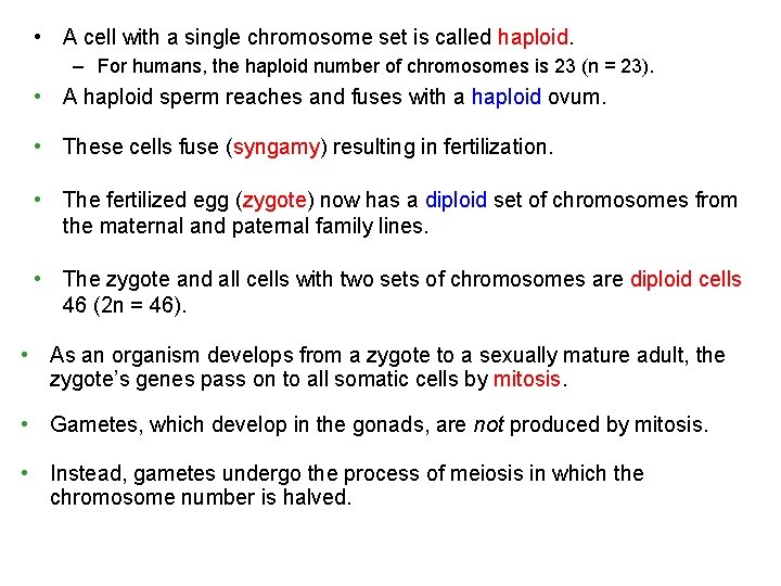  • A cell with a single chromosome set is called haploid. – For