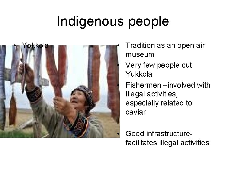 Indigenous people • Yokkola • Tradition as an open air museum • Very few