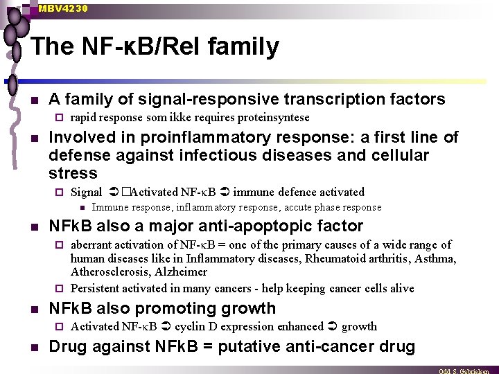 MBV 4230 The NF-κB/Rel family n A family of signal-responsive transcription factors ¨ n
