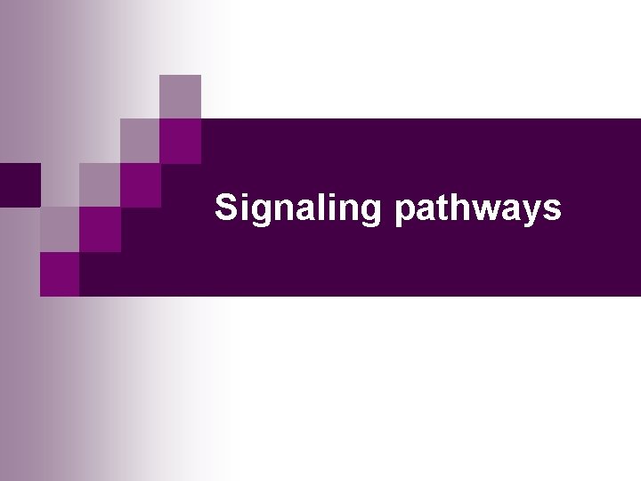 Signaling pathways 