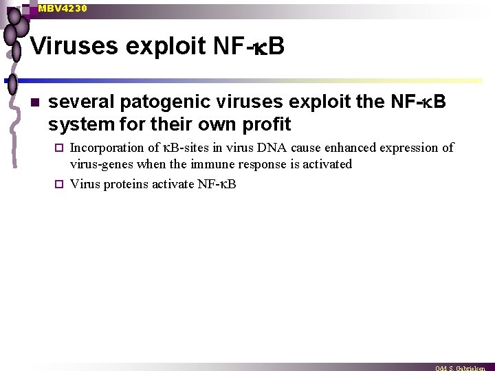 MBV 4230 Viruses exploit NF- B n several patogenic viruses exploit the NF- B