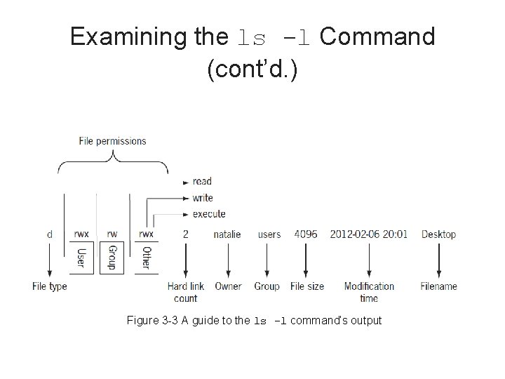 Examining the ls -l Command (cont’d. ) Figure 3 -3 A guide to the